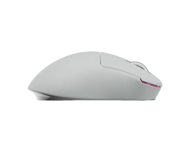 ZywOo-The-Chosen-Mini-mouse.webp