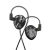 evoX-IEM.webp